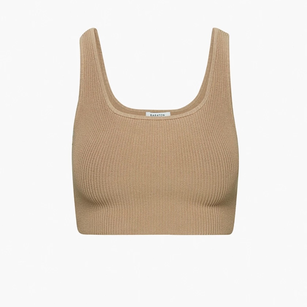 Aritzia Crop Top
